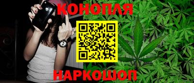 шишки Вышний Волочёк
