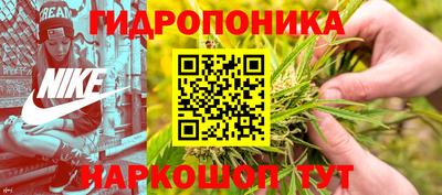 mdpv Владивосток