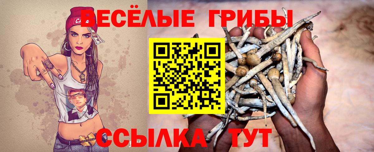 Сатка  Галлюциногенные грибы Psilocybine cubensis  Вход с VPN  Галлюциногенные грибы прущие грибы 